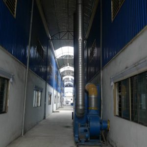 Cho Thuê Xưởng Thuận An Dt đất 11 (11)