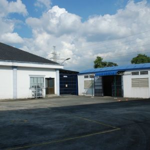 Cho Thuê Xưởng Thuận An Dt đất 11 (8)